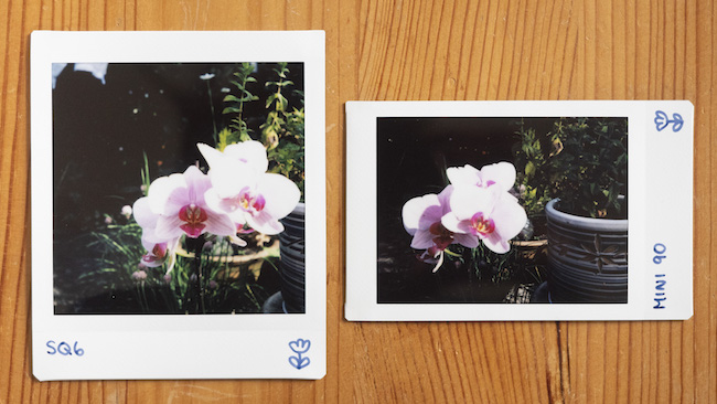 marge pastel Gymnast Fujifilm Instax Mini vs Square Film – What's the difference?